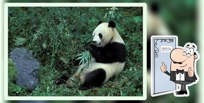 Panda Diner Hanover