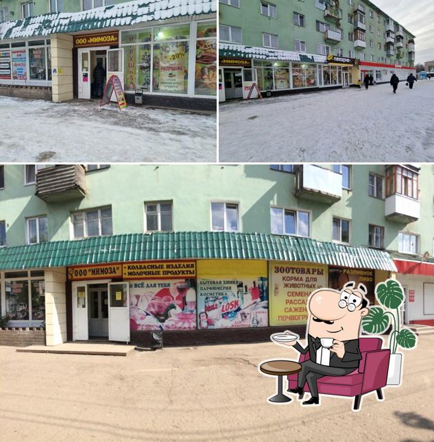 Мимоза