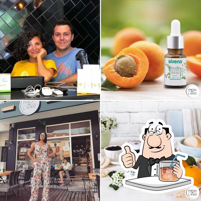 Freshland Kitchen