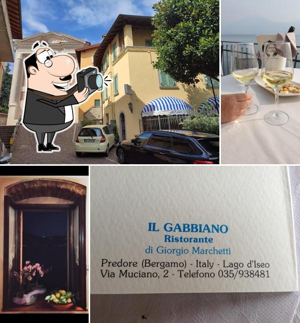 Il Gabbiano
