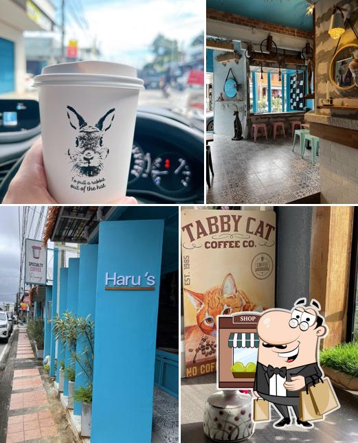 Haru Ranong - Sandwiches Sourdough - Specialty Coffee
