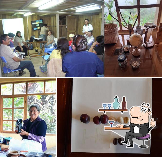 Coffee Experience - Casa Rumisitana
