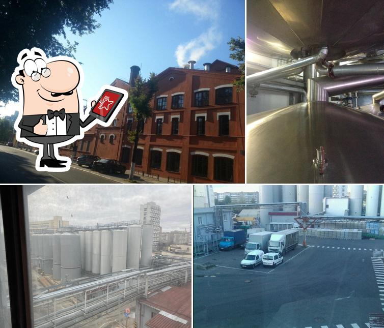Olivaria Brewery