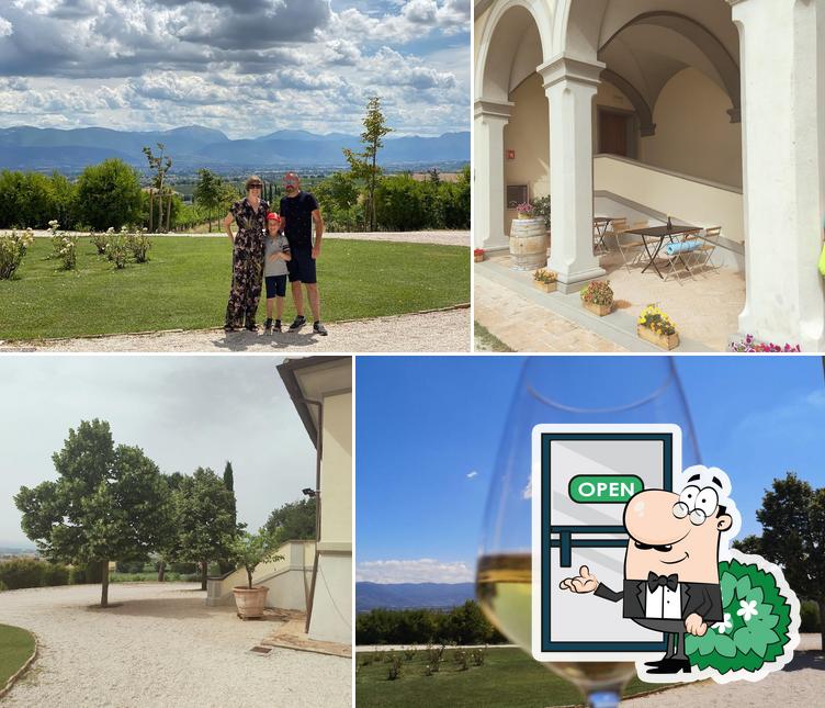 Lungarotti Winery - Montefalco