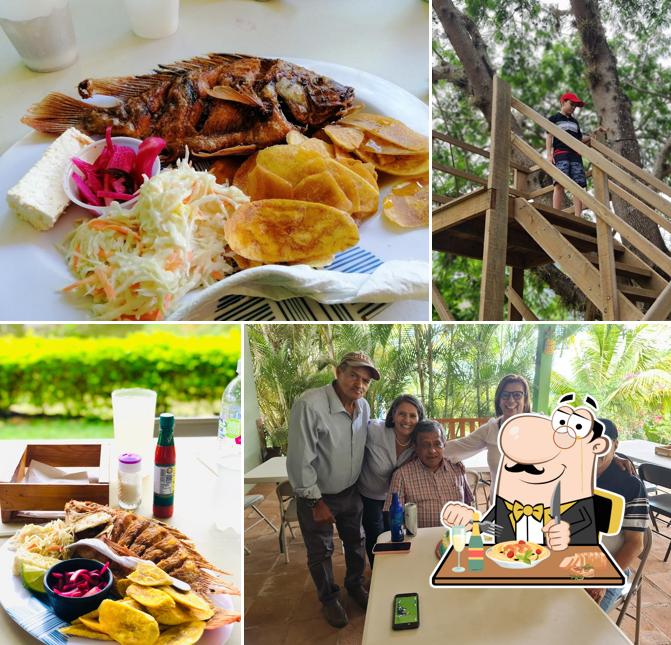 Tilapias del Rancho Ecopark