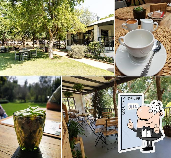 Ground Café