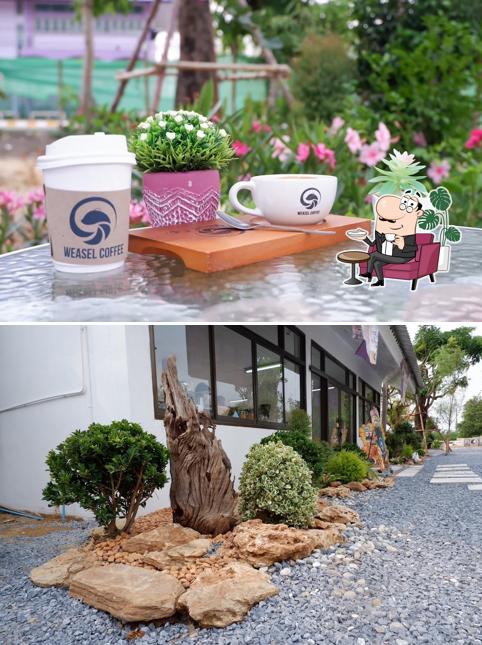 Weasel Coffee สาขา 168 วัดบางเดื่อ กาแฟชะมด