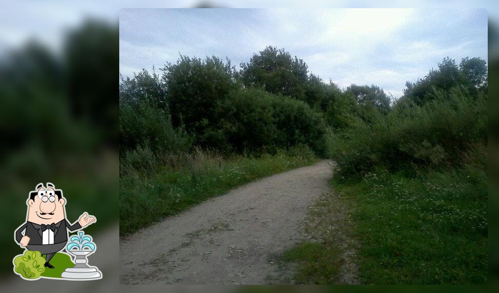 Piknik Lejamais alus