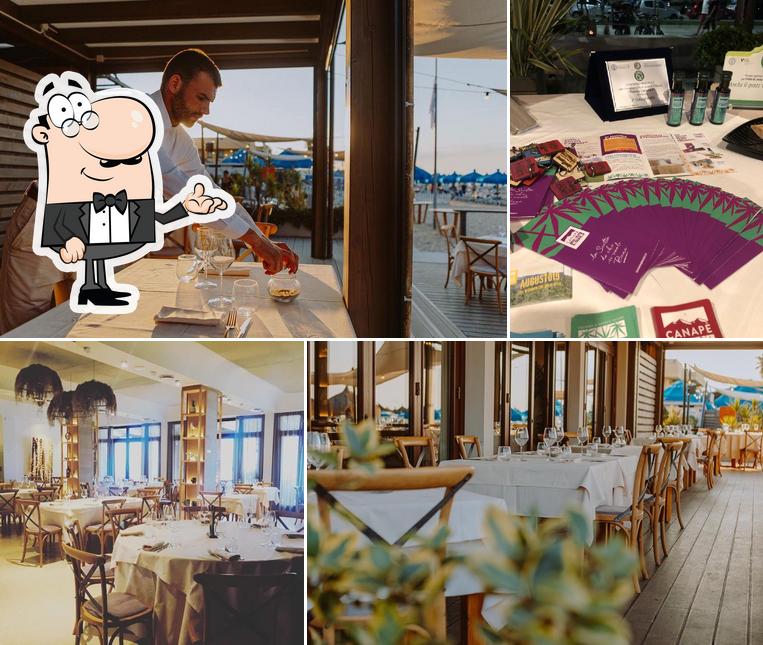 Ristorante Pizzeria Alcione