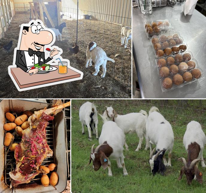 Al Noor Halal Meat Abattoir