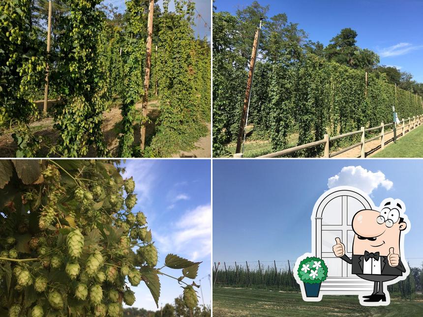 Bale Breaker Brewing Company