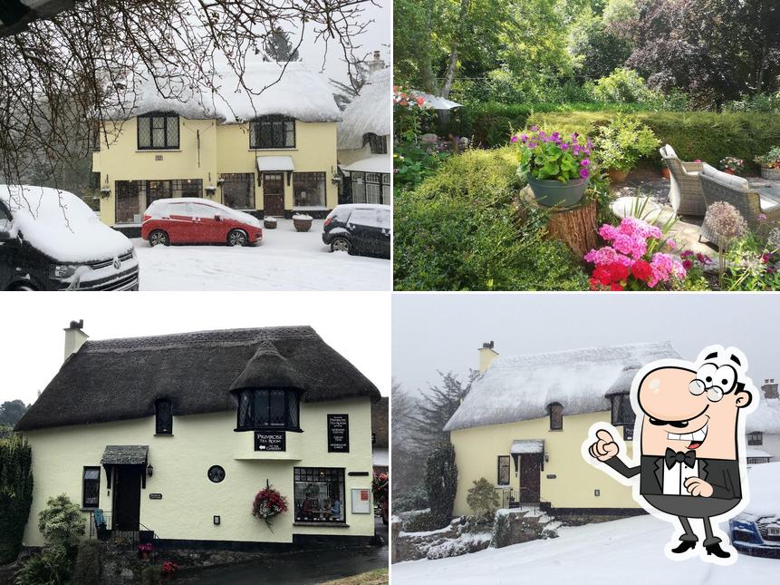 Primrose Cottage Tearooms