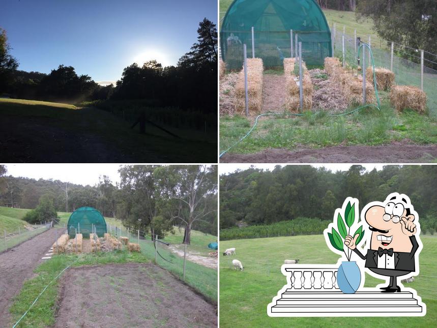 Goat Hill Farm