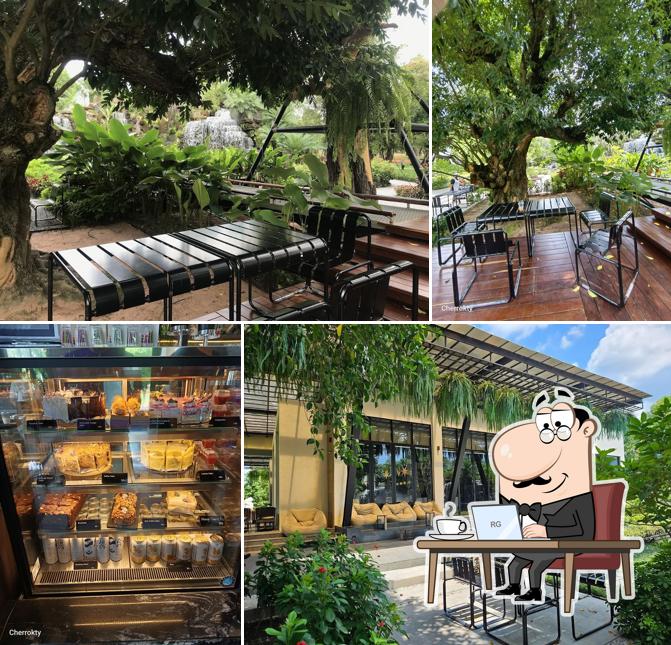 UForestscafe