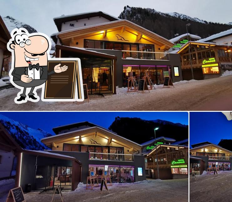Marmot Lounge & Bar