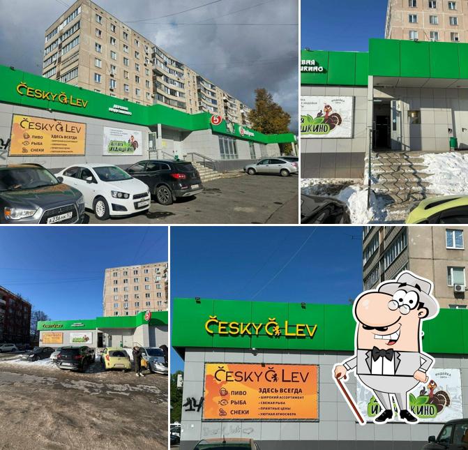 Cesky Lev