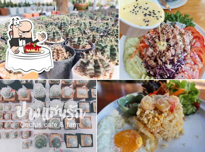 ปางแสนรัก Cafe' Chiangdao