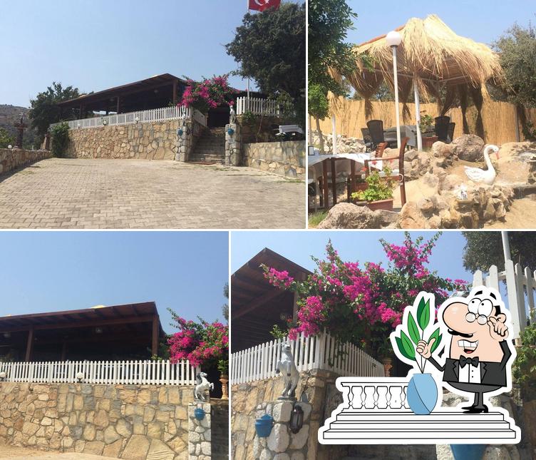 Zaguda Bahce Bodrum