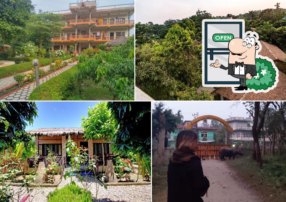 Eden Jungle Resort