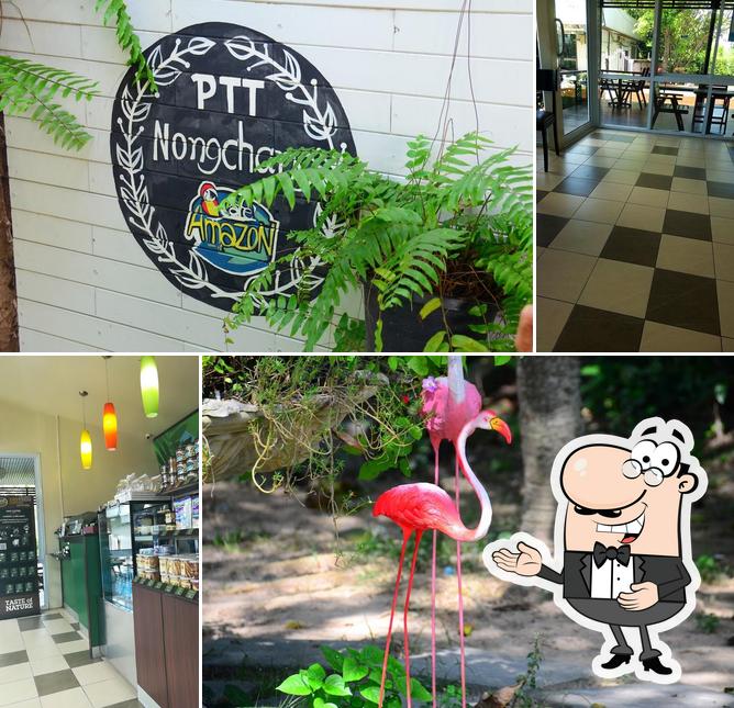 Café Amazon