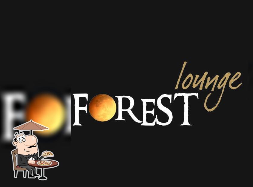 Forest-lounge