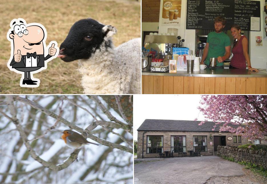 Coopers cafe