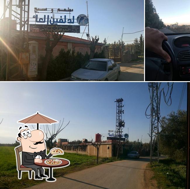 مسبح دولفين