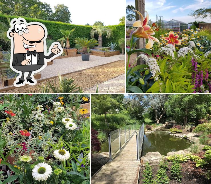 Merriments Cafe and Gardens