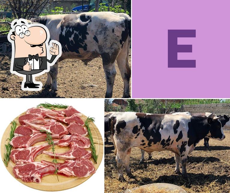 ETİN gercek usta'sı