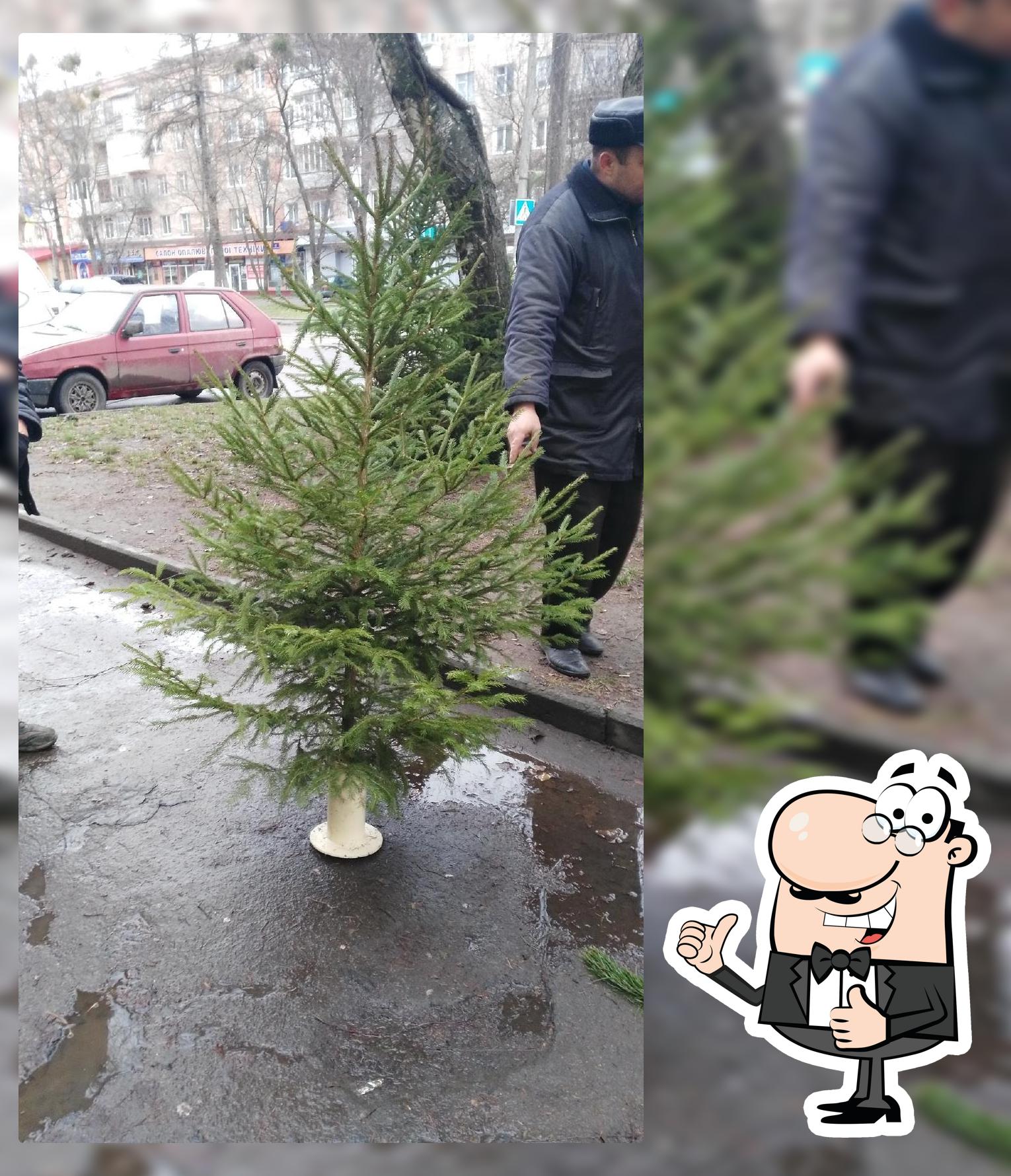 Козацький