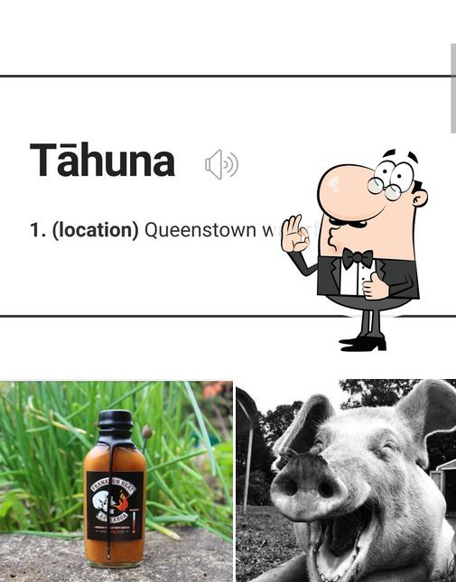 Tāhuna Dogs