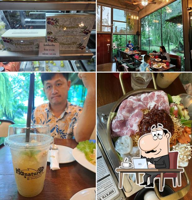The FIGnature Garden (สวนมะเดื่อฝรั่ง เดอะ ฟิกเนเจอร์)