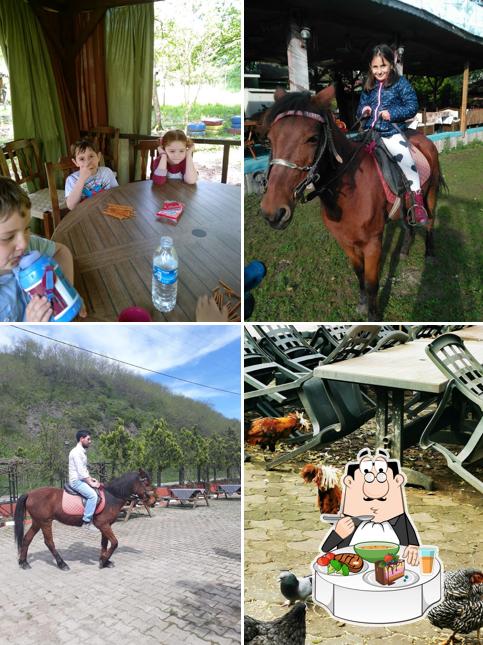 Golcayir Park Rest