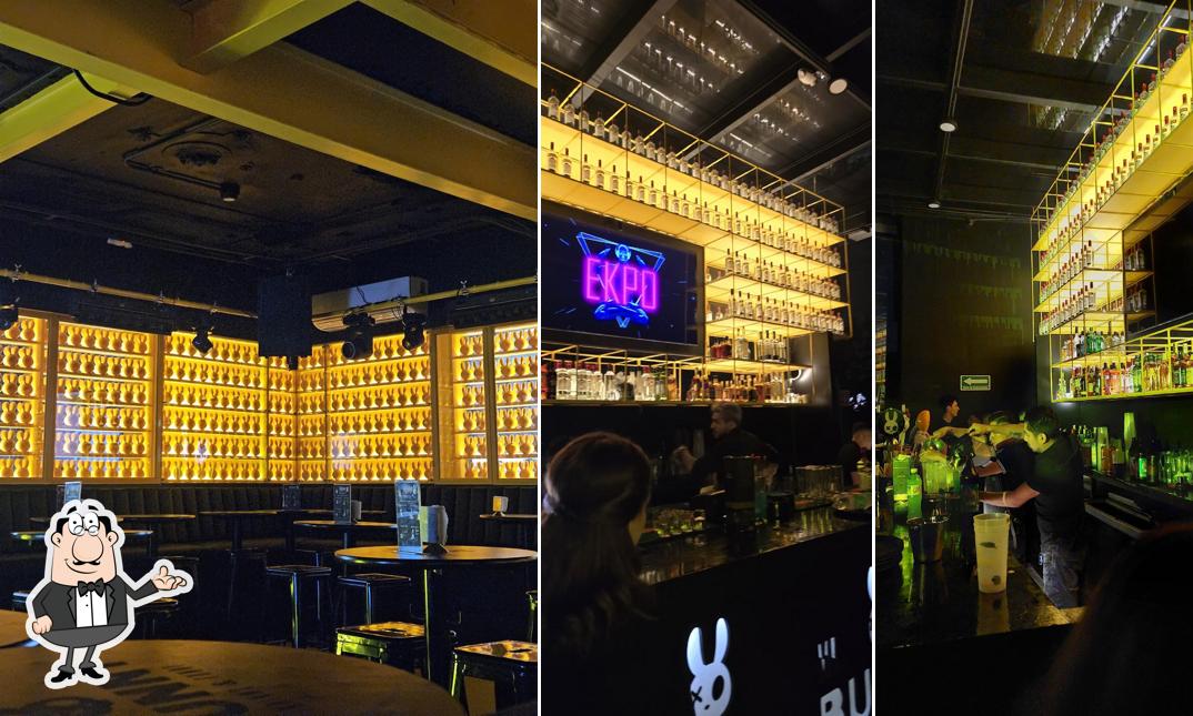 Bar Bunny Zona Rosa