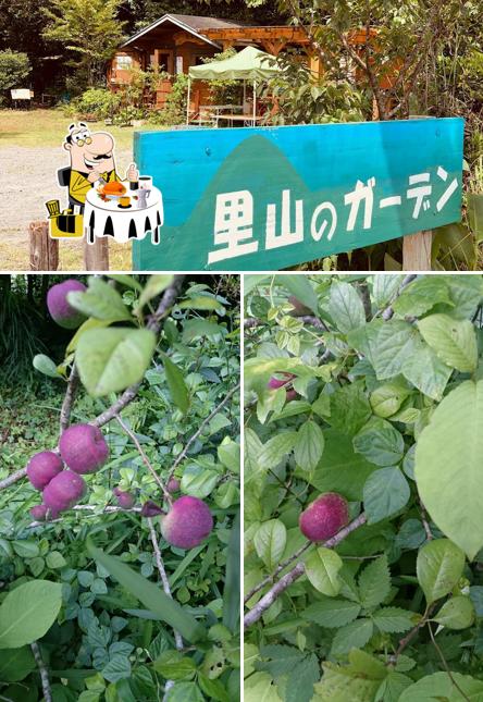 里山のガーデン
