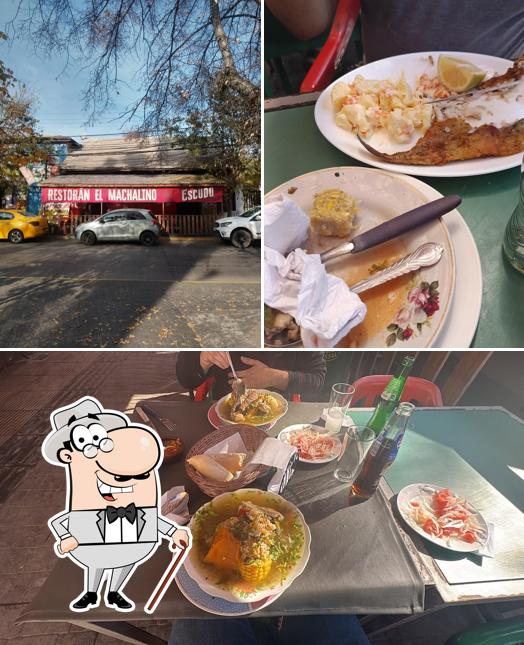 RESTORAN EL MACHALINO