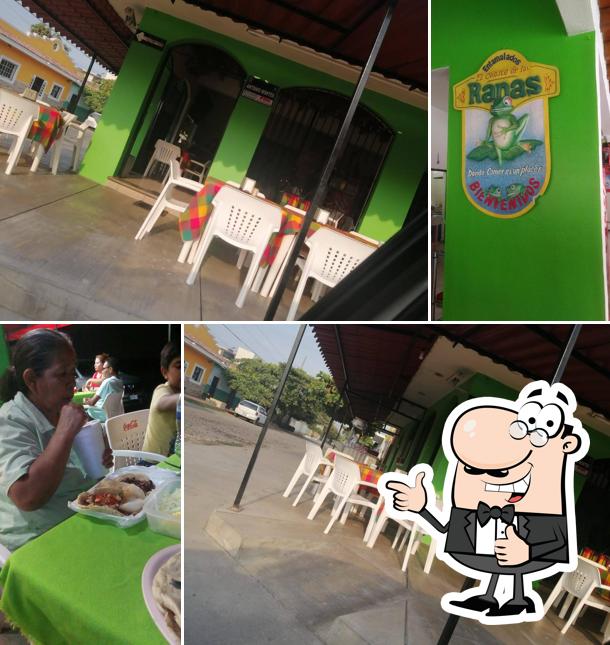 El charco de las Ranas