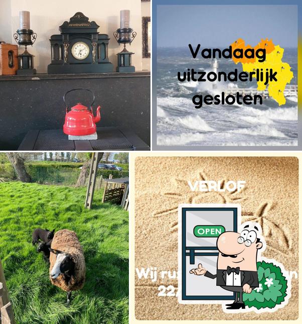 Bij de Witten