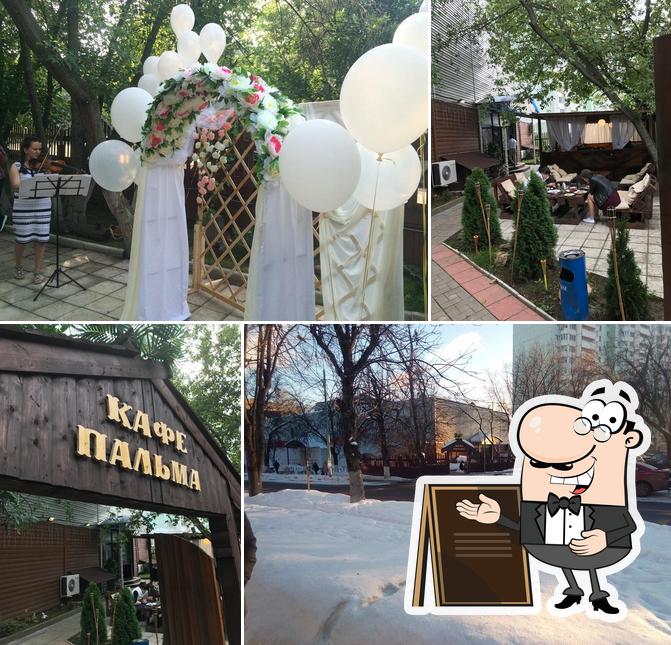 Пальма