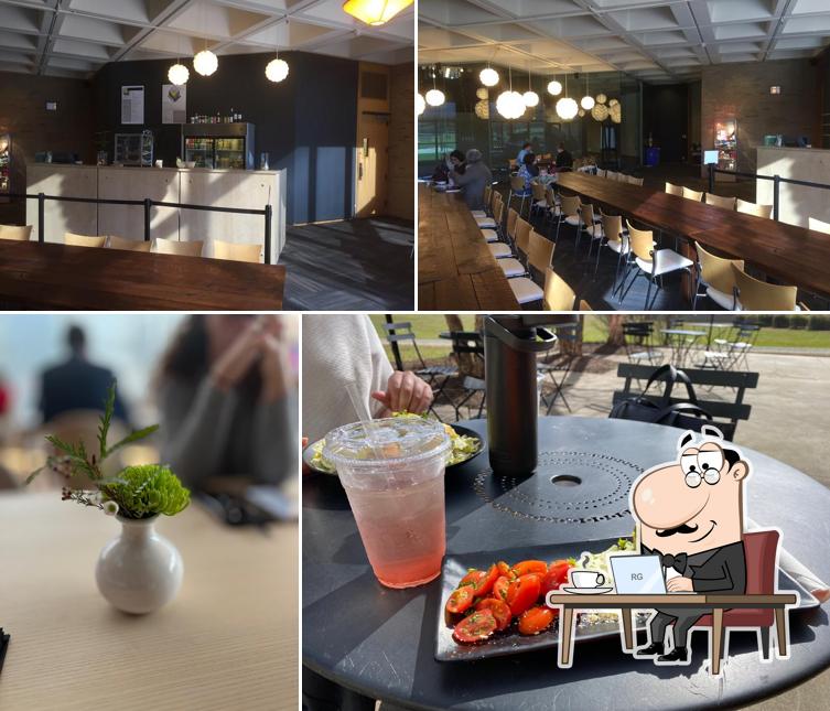 NCMA Rembrandt Cafe