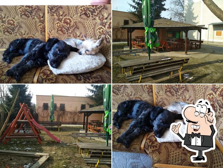 Dělnický dům