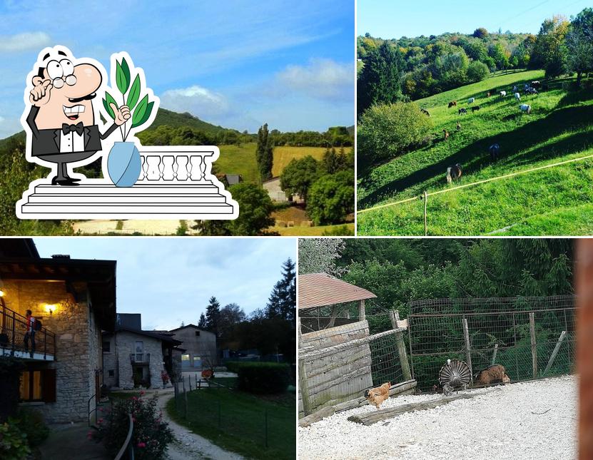 L'Aquila Solitaria