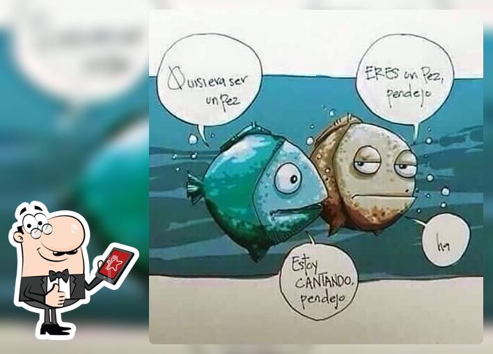 Ceviches y Mariscos Mérida
