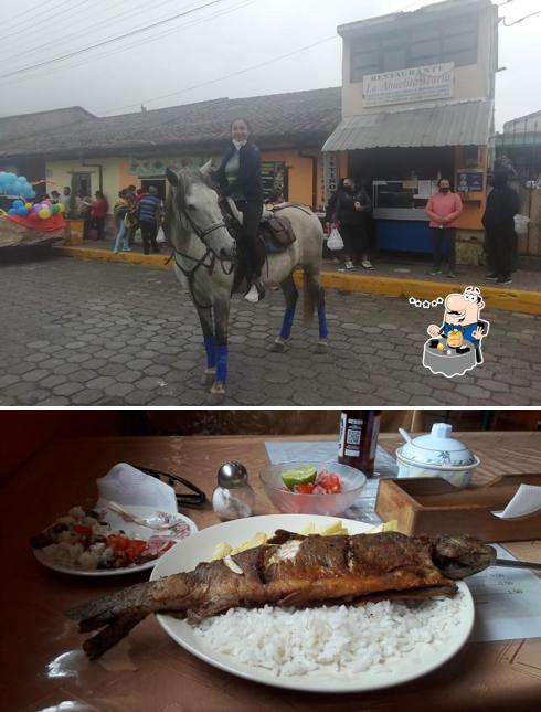 Colonial Lloa