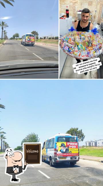 מפגש האלמוגים