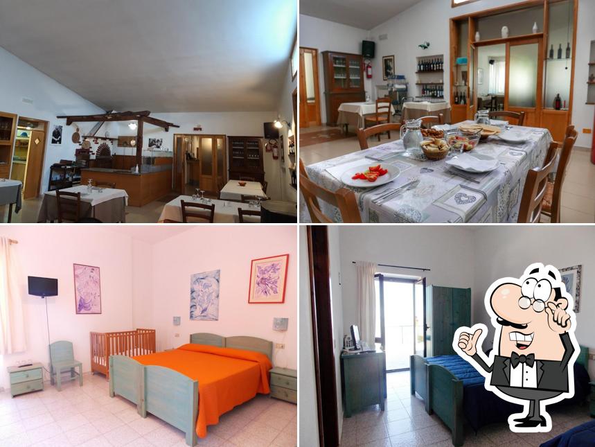 Coop Turistica Enis