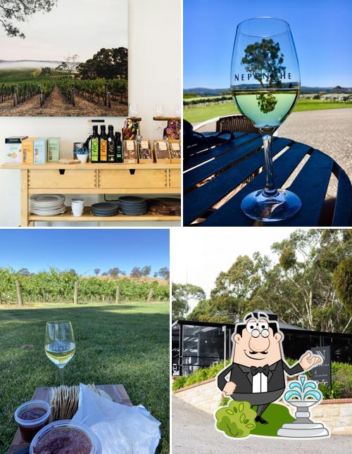 Nepenthe Cellar Door