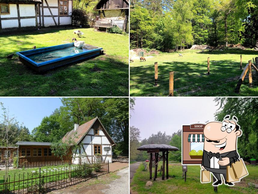 Waldcafé & Biergarten Meyers Hausstelle