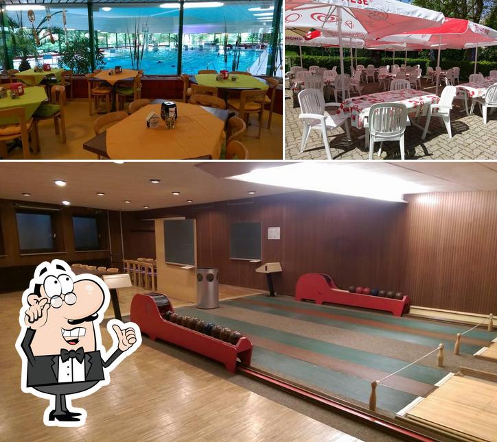 Il delfino