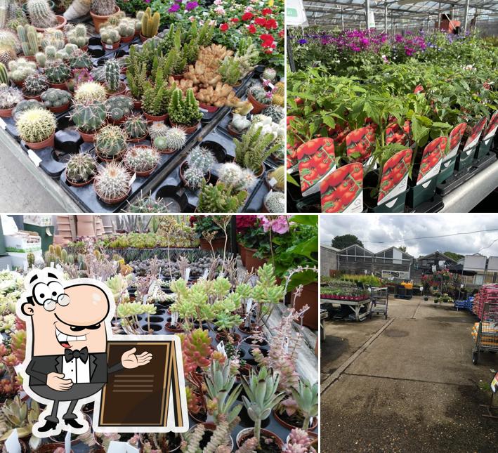 The Gardening Club at Hare Hatch
